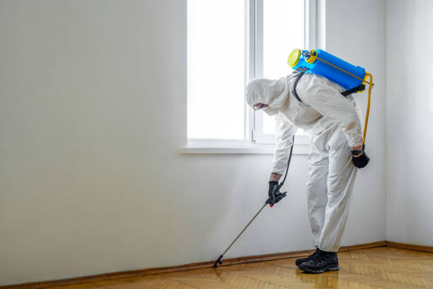 Best Emergency Pest Control  in USA